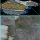 A view of Brash Island (top) with examples of penguin nest sites (below)